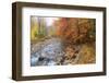 USA, New Hampshire Autumn colors on Maple, Beech trees along the edge of the river-Sylvia Gulin-Framed Photographic Print