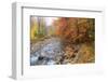 USA, New Hampshire Autumn colors on Maple, Beech trees along the edge of the river-Sylvia Gulin-Framed Photographic Print