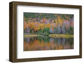 USA, New Hampshire, Fall colors reflected in the waters of the Saco River Crawford Notch State Park-Sylvia Gulin-Framed Photographic Print