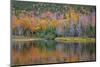 USA, New Hampshire, Fall colors reflected in the waters of the Saco River Crawford Notch State Park-Sylvia Gulin-Mounted Photographic Print