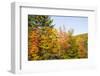 USA, New Hampshire, fall foliage Bretton Woods at base of Mount Washington-Alison Jones-Framed Photographic Print