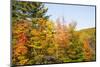 USA, New Hampshire, fall foliage Bretton Woods at base of Mount Washington-Alison Jones-Mounted Photographic Print