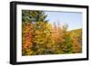 USA, New Hampshire, fall foliage Bretton Woods at base of Mount Washington-Alison Jones-Framed Photographic Print