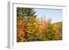 USA, New Hampshire, fall foliage Bretton Woods at base of Mount Washington-Alison Jones-Framed Photographic Print