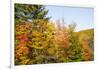 USA, New Hampshire, fall foliage Bretton Woods at base of Mount Washington-Alison Jones-Framed Photographic Print