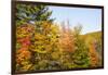 USA, New Hampshire, fall foliage Bretton Woods at base of Mount Washington-Alison Jones-Framed Photographic Print