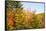 USA, New Hampshire, fall foliage Bretton Woods at base of Mount Washington-Alison Jones-Framed Stretched Canvas
