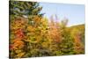 USA, New Hampshire, fall foliage Bretton Woods at base of Mount Washington-Alison Jones-Stretched Canvas