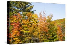 USA, New Hampshire, fall foliage Bretton Woods at base of Mount Washington-Alison Jones-Stretched Canvas