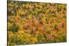 USA, New Hampshire, fall foliage Bretton Woods at base of Mount Washington-Alison Jones-Stretched Canvas