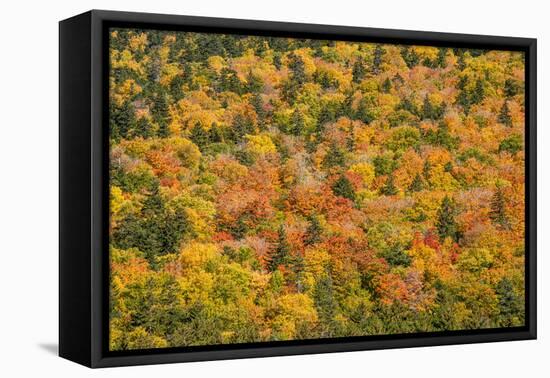 USA, New Hampshire, fall foliage Bretton Woods at base of Mount Washington-Alison Jones-Framed Stretched Canvas