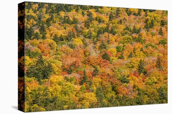 USA, New Hampshire, fall foliage Bretton Woods at base of Mount Washington-Alison Jones-Stretched Canvas