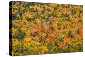 USA, New Hampshire, fall foliage Bretton Woods at base of Mount Washington-Alison Jones-Stretched Canvas