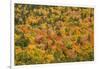 USA, New Hampshire, fall foliage Bretton Woods at base of Mount Washington-Alison Jones-Framed Photographic Print