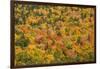 USA, New Hampshire, fall foliage Bretton Woods at base of Mount Washington-Alison Jones-Framed Photographic Print