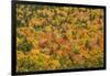 USA, New Hampshire, fall foliage Bretton Woods at base of Mount Washington-Alison Jones-Framed Photographic Print