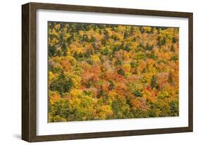 USA, New Hampshire, fall foliage Bretton Woods at base of Mount Washington-Alison Jones-Framed Photographic Print