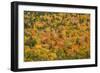 USA, New Hampshire, fall foliage Bretton Woods at base of Mount Washington-Alison Jones-Framed Photographic Print