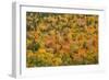 USA, New Hampshire, fall foliage Bretton Woods at base of Mount Washington-Alison Jones-Framed Photographic Print