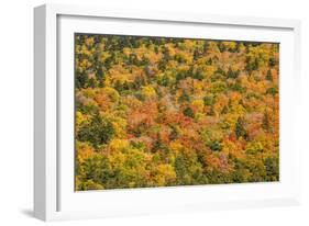 USA, New Hampshire, fall foliage Bretton Woods at base of Mount Washington-Alison Jones-Framed Photographic Print