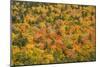 USA, New Hampshire, fall foliage Bretton Woods at base of Mount Washington-Alison Jones-Mounted Photographic Print