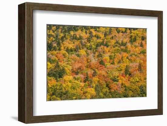 USA, New Hampshire, fall foliage Bretton Woods at base of Mount Washington-Alison Jones-Framed Photographic Print