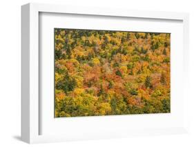 USA, New Hampshire, fall foliage Bretton Woods at base of Mount Washington-Alison Jones-Framed Photographic Print