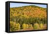 USA, New Hampshire, fall foliage Bretton Woods at base of Mount Washington-Alison Jones-Framed Stretched Canvas