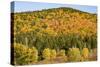 USA, New Hampshire, fall foliage Bretton Woods at base of Mount Washington-Alison Jones-Stretched Canvas