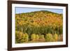 USA, New Hampshire, fall foliage Bretton Woods at base of Mount Washington-Alison Jones-Framed Photographic Print