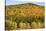 USA, New Hampshire, fall foliage Bretton Woods at base of Mount Washington-Alison Jones-Stretched Canvas