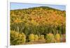 USA, New Hampshire, fall foliage Bretton Woods at base of Mount Washington-Alison Jones-Framed Photographic Print