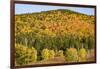 USA, New Hampshire, fall foliage Bretton Woods at base of Mount Washington-Alison Jones-Framed Photographic Print