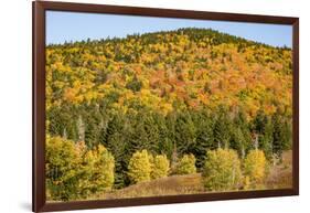 USA, New Hampshire, fall foliage Bretton Woods at base of Mount Washington-Alison Jones-Framed Photographic Print