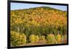 USA, New Hampshire, fall foliage Bretton Woods at base of Mount Washington-Alison Jones-Framed Photographic Print