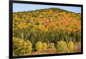 USA, New Hampshire, fall foliage Bretton Woods at base of Mount Washington-Alison Jones-Framed Photographic Print