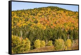 USA, New Hampshire, fall foliage Bretton Woods at base of Mount Washington-Alison Jones-Framed Stretched Canvas