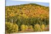 USA, New Hampshire, fall foliage Bretton Woods at base of Mount Washington-Alison Jones-Stretched Canvas