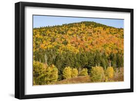 USA, New Hampshire, fall foliage Bretton Woods at base of Mount Washington-Alison Jones-Framed Photographic Print