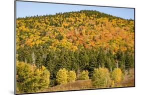 USA, New Hampshire, fall foliage Bretton Woods at base of Mount Washington-Alison Jones-Mounted Photographic Print