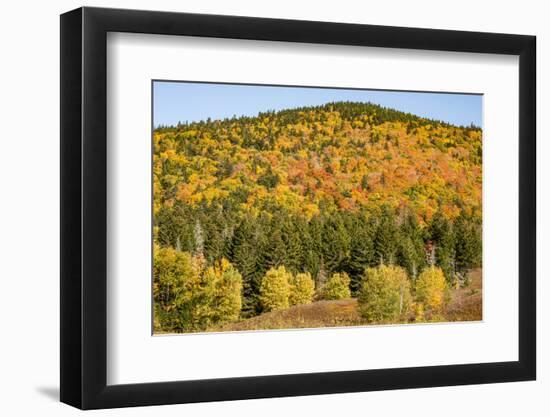 USA, New Hampshire, fall foliage Bretton Woods at base of Mount Washington-Alison Jones-Framed Photographic Print