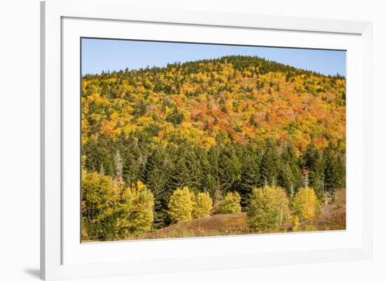 USA, New Hampshire, fall foliage Bretton Woods at base of Mount Washington-Alison Jones-Framed Photographic Print