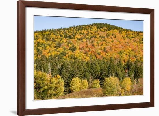 USA, New Hampshire, fall foliage Bretton Woods at base of Mount Washington-Alison Jones-Framed Photographic Print