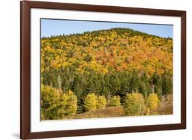 USA, New Hampshire, fall foliage Bretton Woods at base of Mount Washington-Alison Jones-Framed Photographic Print