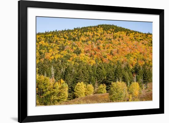 USA, New Hampshire, fall foliage Bretton Woods at base of Mount Washington-Alison Jones-Framed Photographic Print