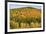 USA, New Hampshire, fall foliage Bretton Woods at base of Mount Washington-Alison Jones-Framed Photographic Print