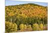 USA, New Hampshire, fall foliage Bretton Woods at base of Mount Washington-Alison Jones-Mounted Photographic Print