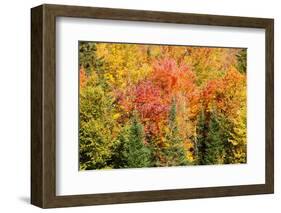 USA, New Hampshire, fall foliage Bretton Woods at base of Mount Washington-Alison Jones-Framed Photographic Print