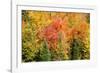 USA, New Hampshire, fall foliage Bretton Woods at base of Mount Washington-Alison Jones-Framed Photographic Print