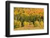 USA, New Hampshire, fall foliage Bretton Woods at base of Mount Washington-Alison Jones-Framed Photographic Print